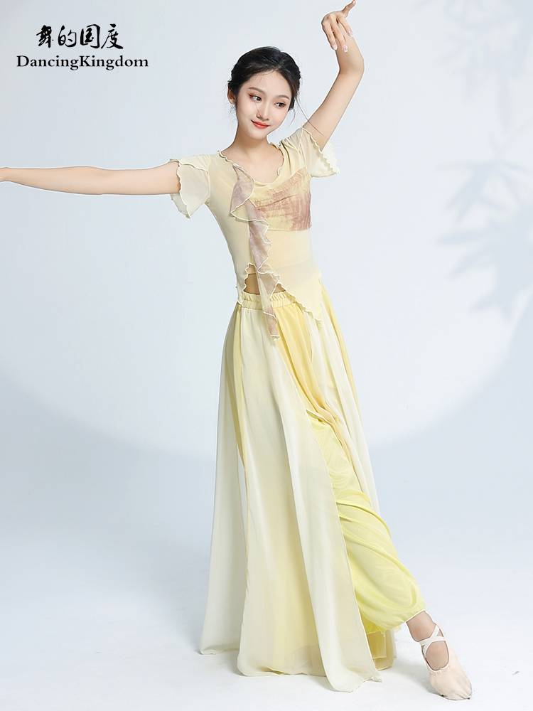 Dance of the national classical gauze dance clothes, elegant practice service, female Chinese dance adult shirt body rhyme show performance