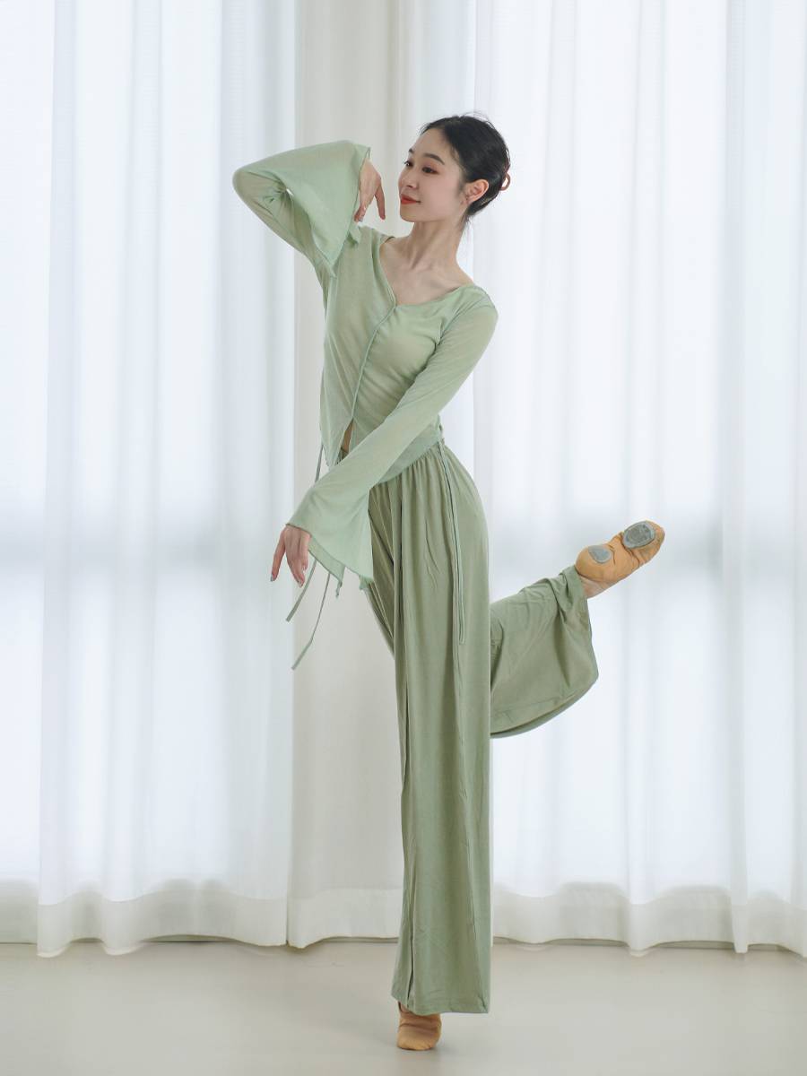 Classical dance gauze dance dance exercises Chinese dance clothing body rhyme clothes dance top women's new spring spring