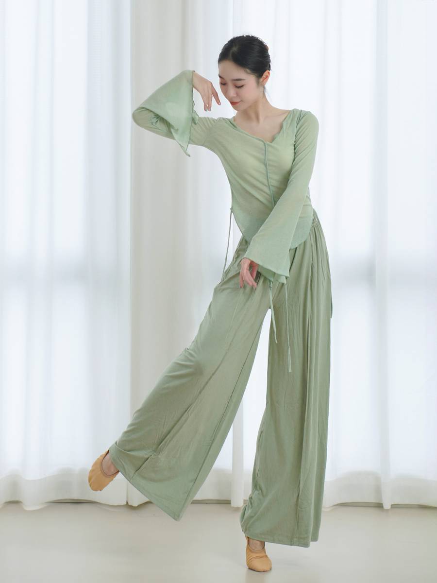 Classical dance gauze dance dance exercises Chinese dance clothing body rhyme clothes dance top women's new spring spring