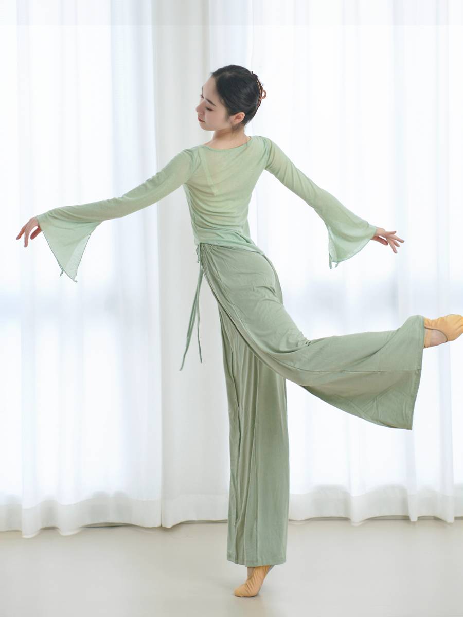 Classical dance gauze dance dance exercises Chinese dance clothing body rhyme clothes dance top women's new spring spring