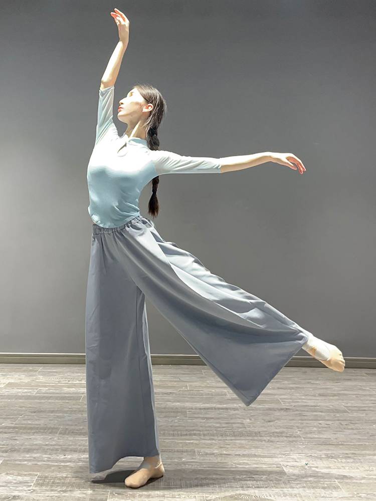Modern dance exercise, female adult temperament slim stitching gauze sleeve top Chinese style dance clothing classical dance clothing