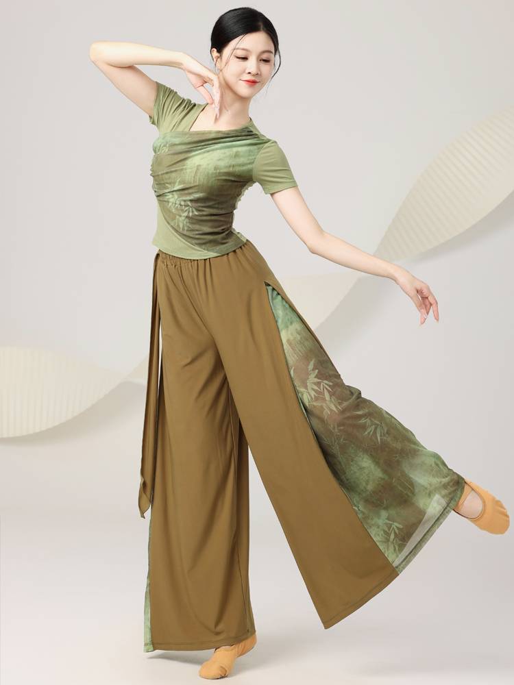 Shangmai adult modern dance clothing practice service female Chinese dance classical dance body rhyme teacher short sleeve top