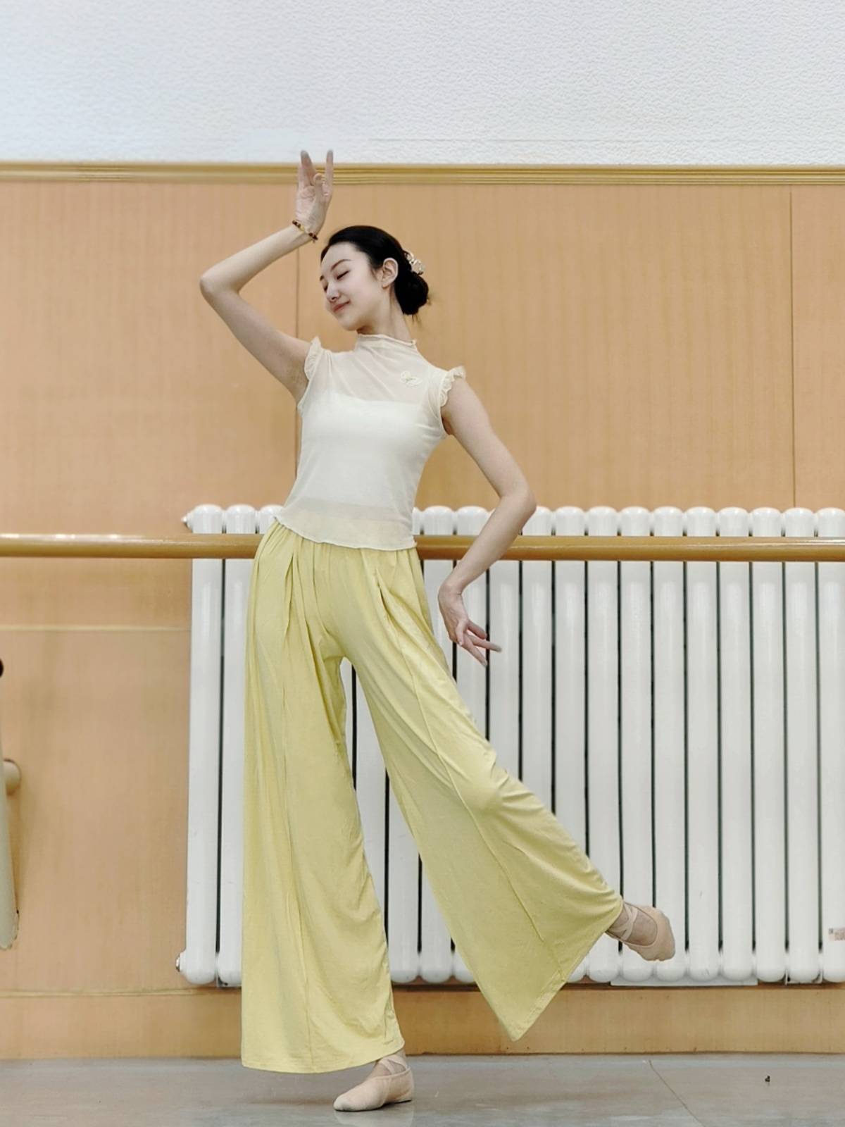 Classical dance gauze short -sleeved practice clothes slim butterfly dance clothing clothes, Chinese dance body rhyme, national style