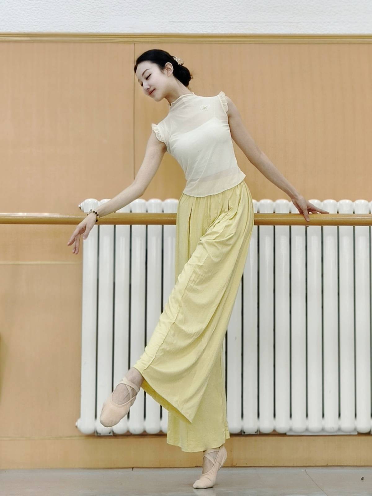 Classical dance gauze short -sleeved practice clothes slim butterfly dance clothing clothes, Chinese dance body rhyme, national style