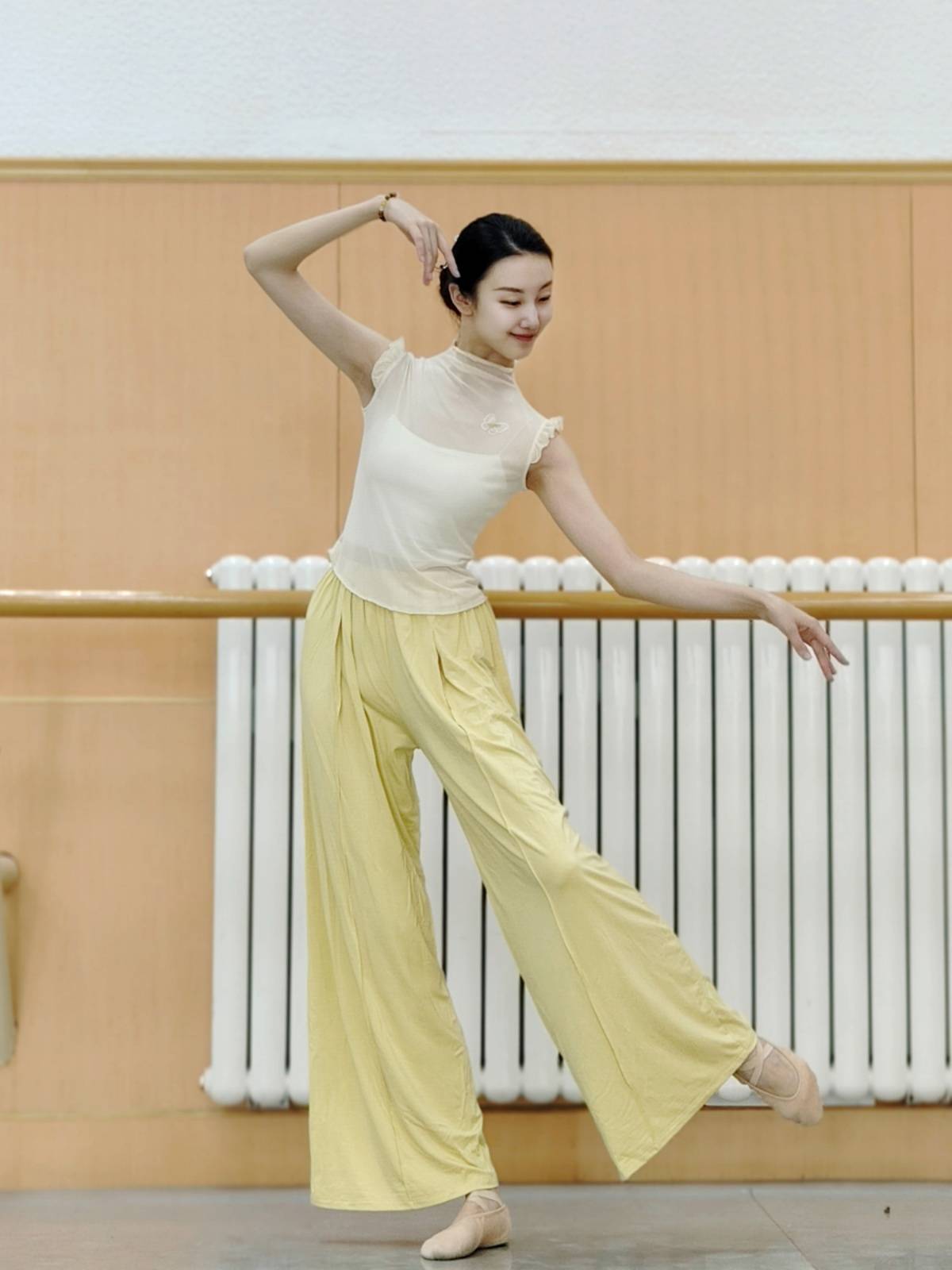 Classical dance gauze short -sleeved practice clothes slim butterfly dance clothing clothes, Chinese dance body rhyme, national style
