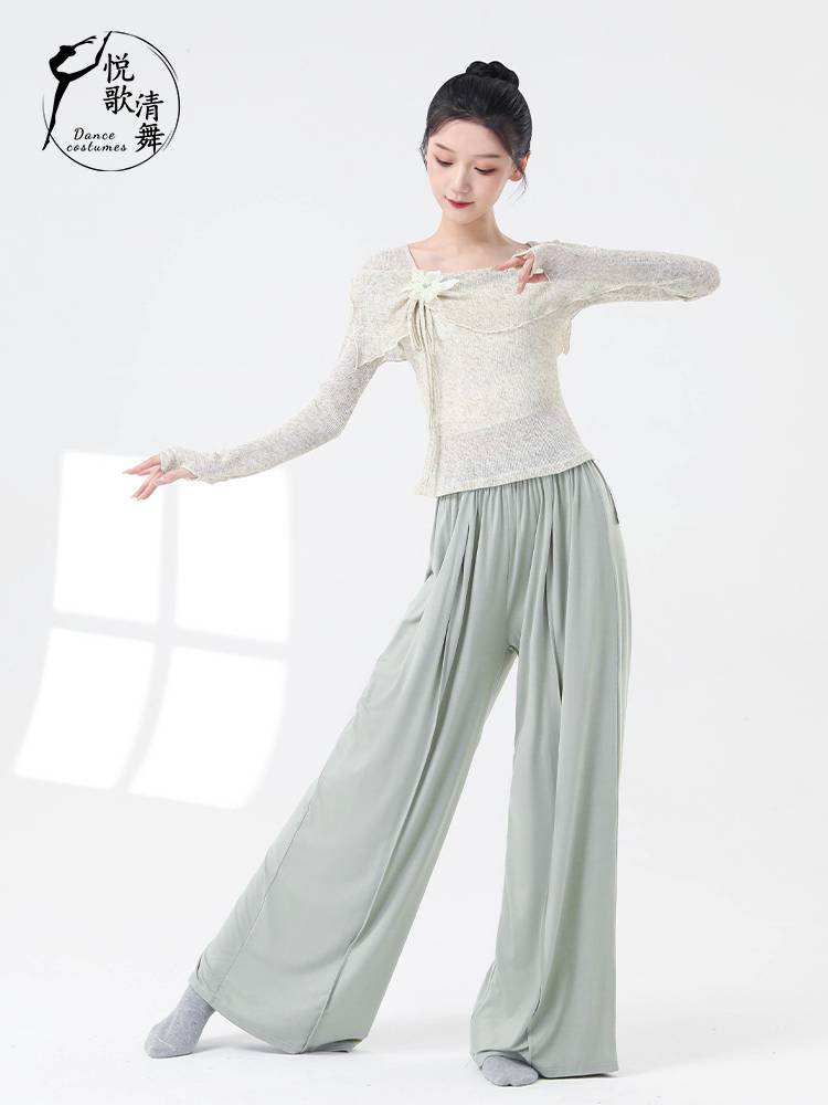 Classical dance clothing practice service -shaped physical clothing Chinese dance adult summer body rhyme net yarn 2024 new dance top