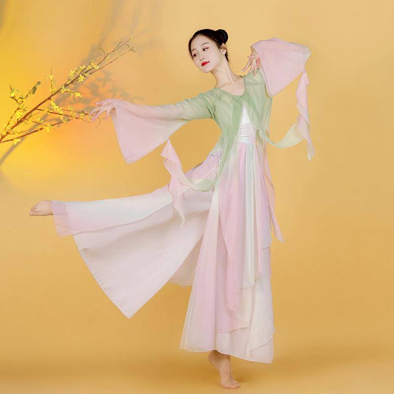 Spring March dance service Chinese style classical dance set female rhyme gradient chiffon Chinese dance exercise performance service performance service