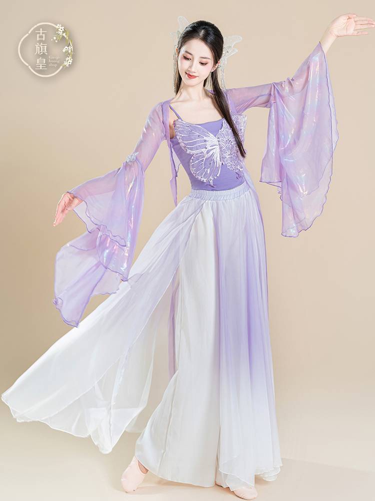 Ancient Banner Classical Dance Clothing Fairy Fairy Butterfly Towers Chinese Style Performance Clothing Set Function Uniform
