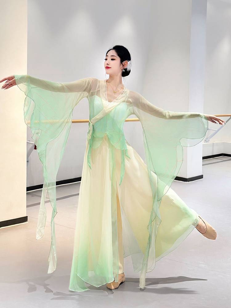 Classical dance clothing female elegant gradient gauze fairy dance service Chinese dance exercise service classical dance performance service