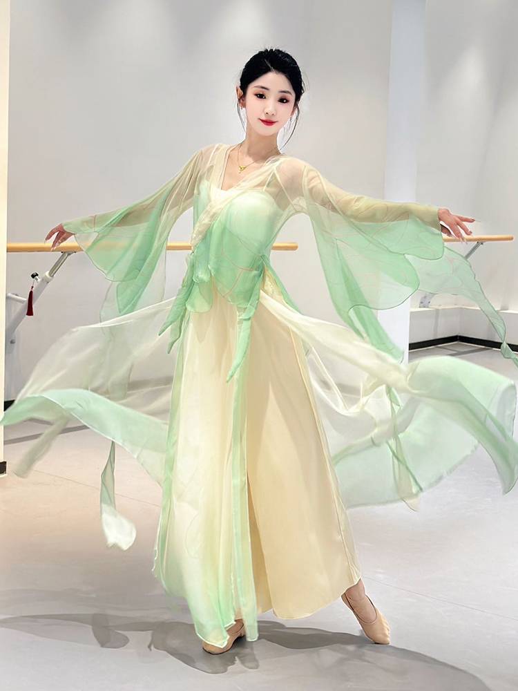 Classical dance clothing female elegant gradient gauze fairy dance service Chinese dance exercise service classical dance performance service