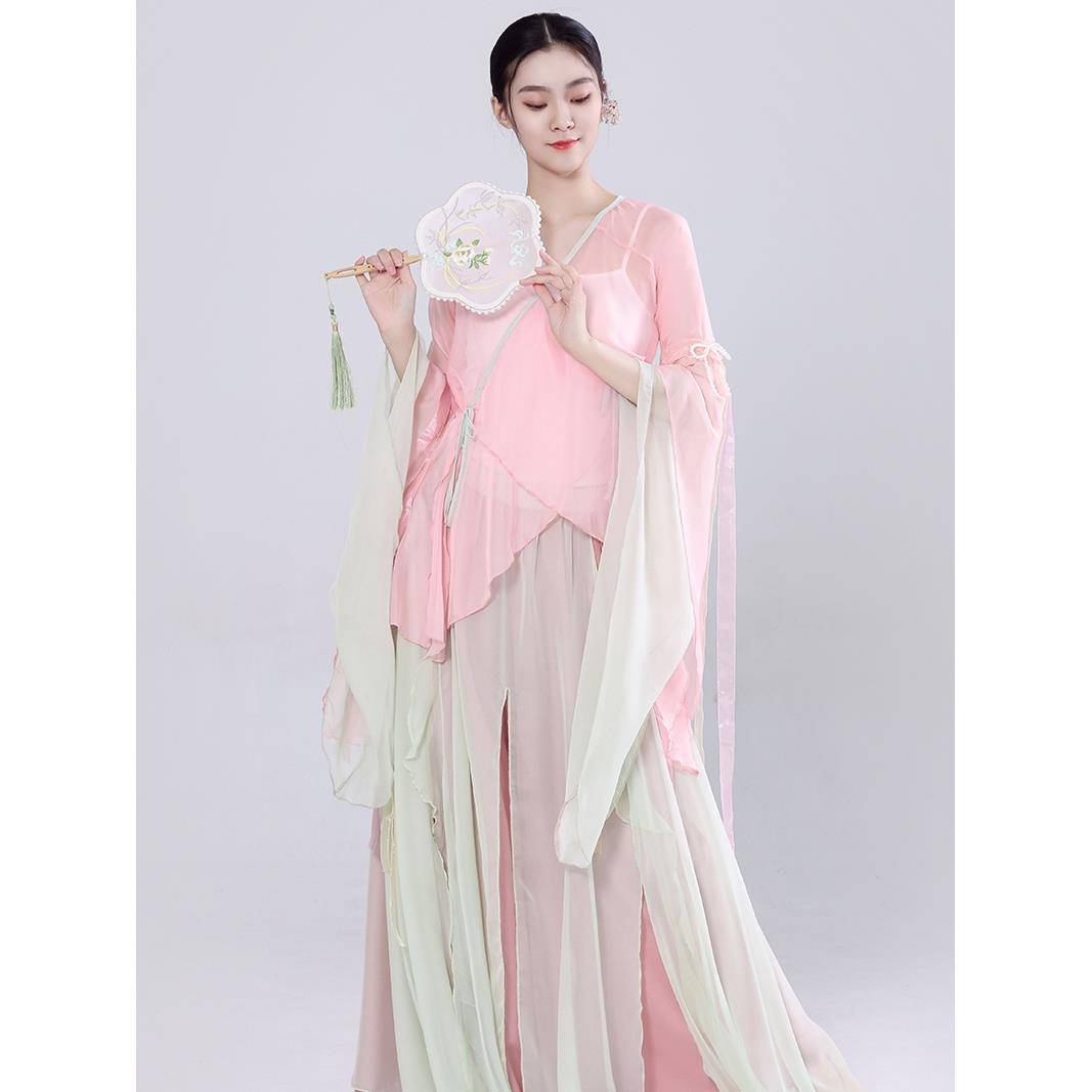 Classical dance clothing gauze girl elegant chiffon base training skills Chinese dance national dance performance clothes