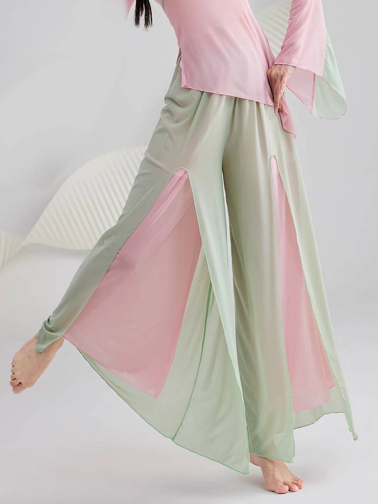 Classical dance yarn female pink top, elegant body, rhyme Chinese dance ancient style dance practice performance set