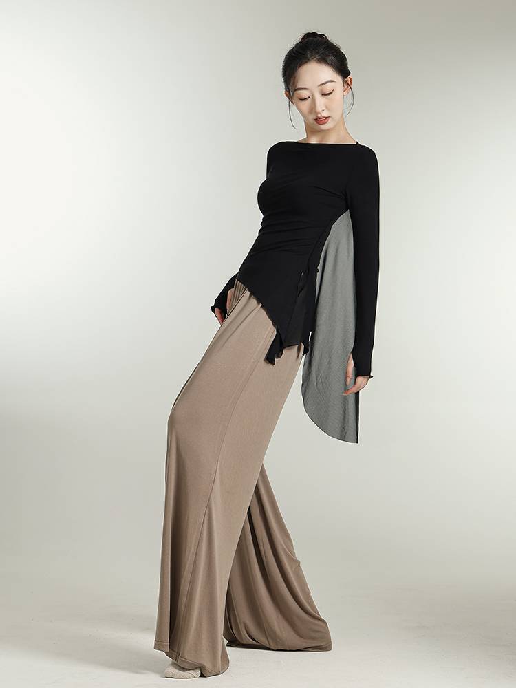Pure Ruoji Classical Dance Dance Server Dress, Autumn and Winter Long Sleeve Floating Sales Modern Dance Female Adult Practice
