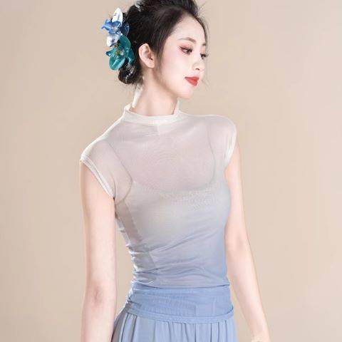 Classical dance body rhyme dance service gradient short -sleeved modern dance gauze performance exercises