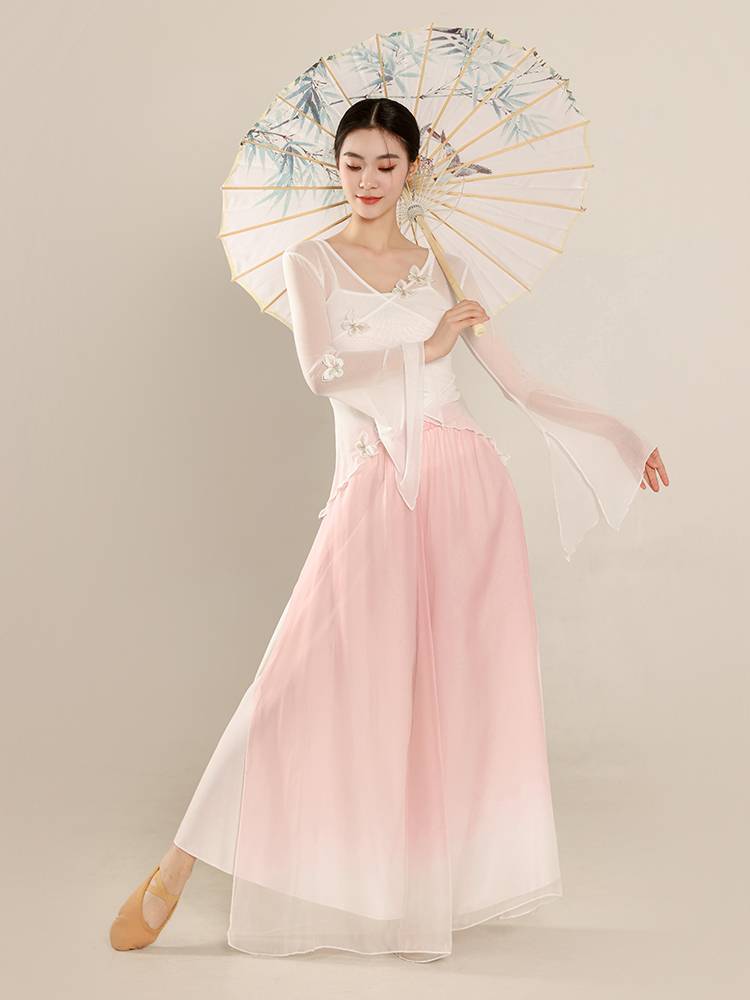 Classical dance clothing butterfly net gauze body rhyme yae Chinese national dance exercise skills test jacket performance suit suit