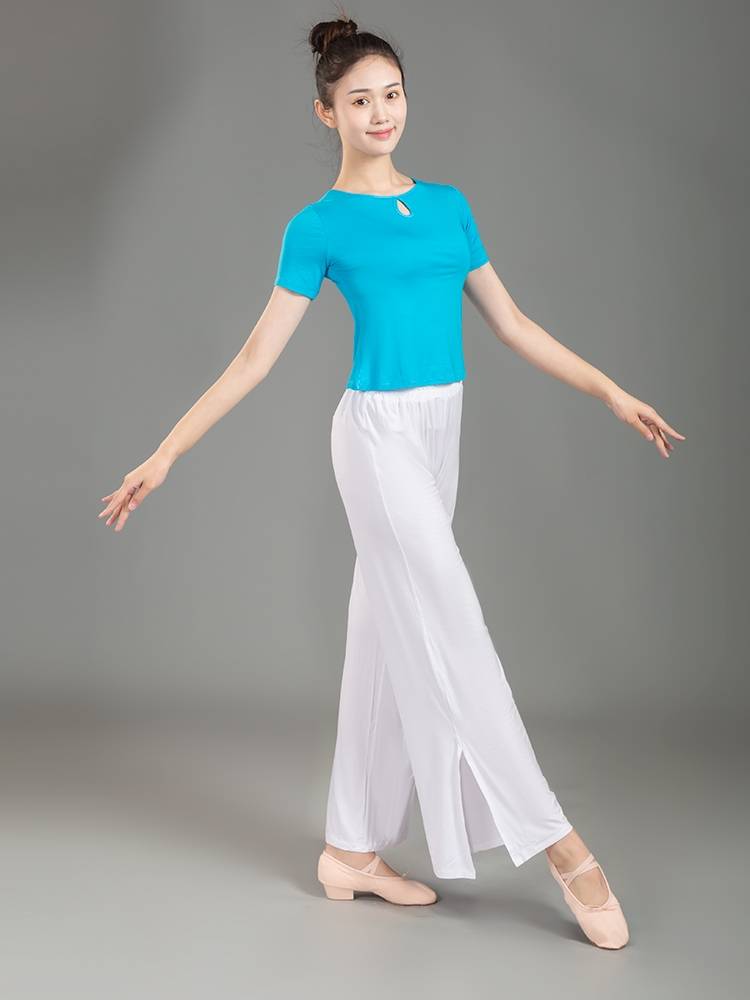 2024 New Chinese Dance Dance Teacher Dedicated Top Top Female Chinese Style Model