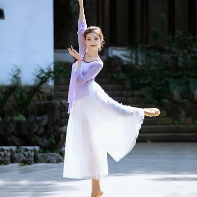 Classical dance dance clothing women's elegant practice clothes, rhyme gauze, Chinese style national performance suit performance suit suit