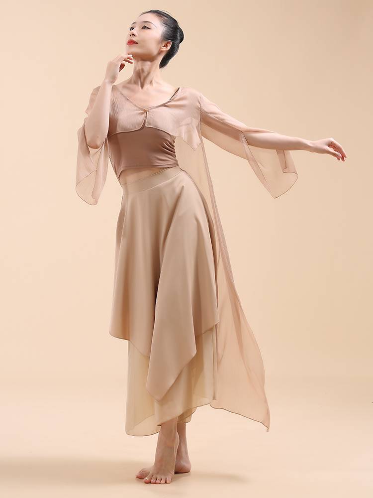 Fuxi Classical Dance Network Said Dance Dance Female Charm Charity Speed ​​Speed ​​Speed ​​Chinese Dance Practice Clothing Show Summer