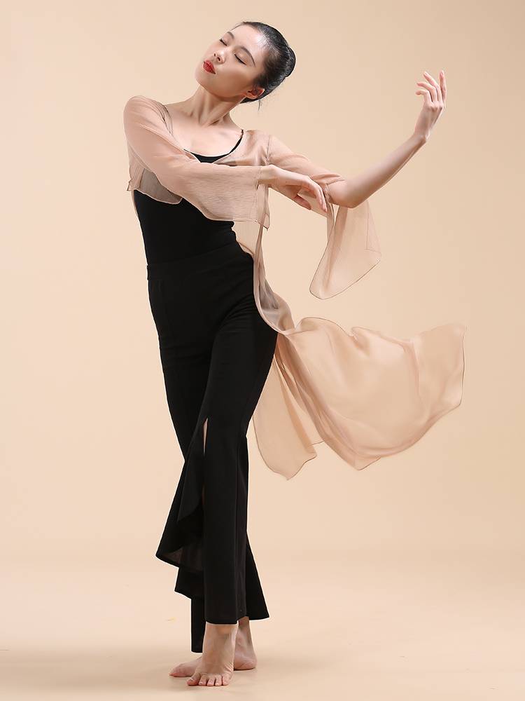 Fuxi Classical Dance Network Said Dance Dance Female Charm Charity Speed ​​Speed ​​Speed ​​Chinese Dance Practice Clothing Show Summer