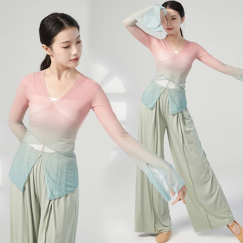 Classical Dance Getting into Rhyme Net Garma Dressing Female Chinese Dance National Dance Modern Dance Clothing Performance Top