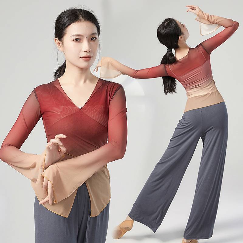Classical Dance Getting into Rhyme Net Garma Dressing Female Chinese Dance National Dance Modern Dance Clothing Performance Top