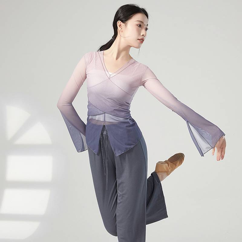 Classical Dance Getting into Rhyme Net Garma Dressing Female Chinese Dance National Dance Modern Dance Clothing Performance Top