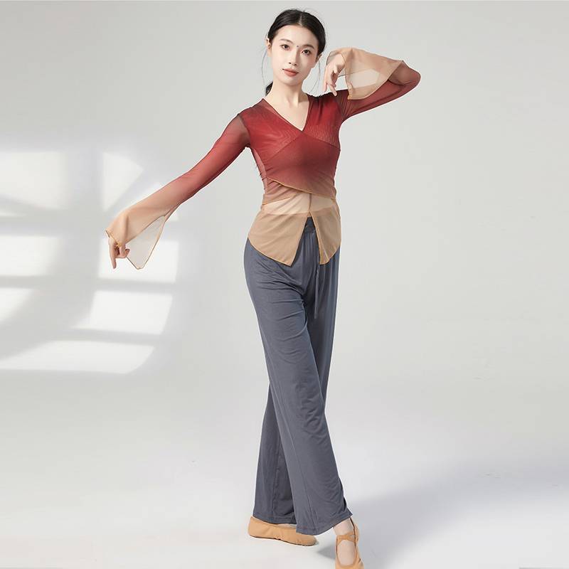 Classical Dance Getting into Rhyme Net Garma Dressing Female Chinese Dance National Dance Modern Dance Clothing Performance Top