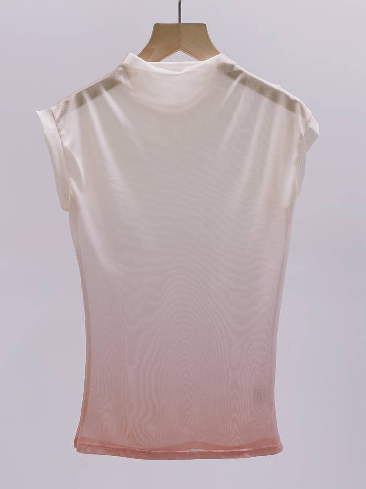 Temperament Dance Server Short Sleeve Summer Gradient Nets Modern Dance Classical Dance Chinese Dance Practice Fita Training Service