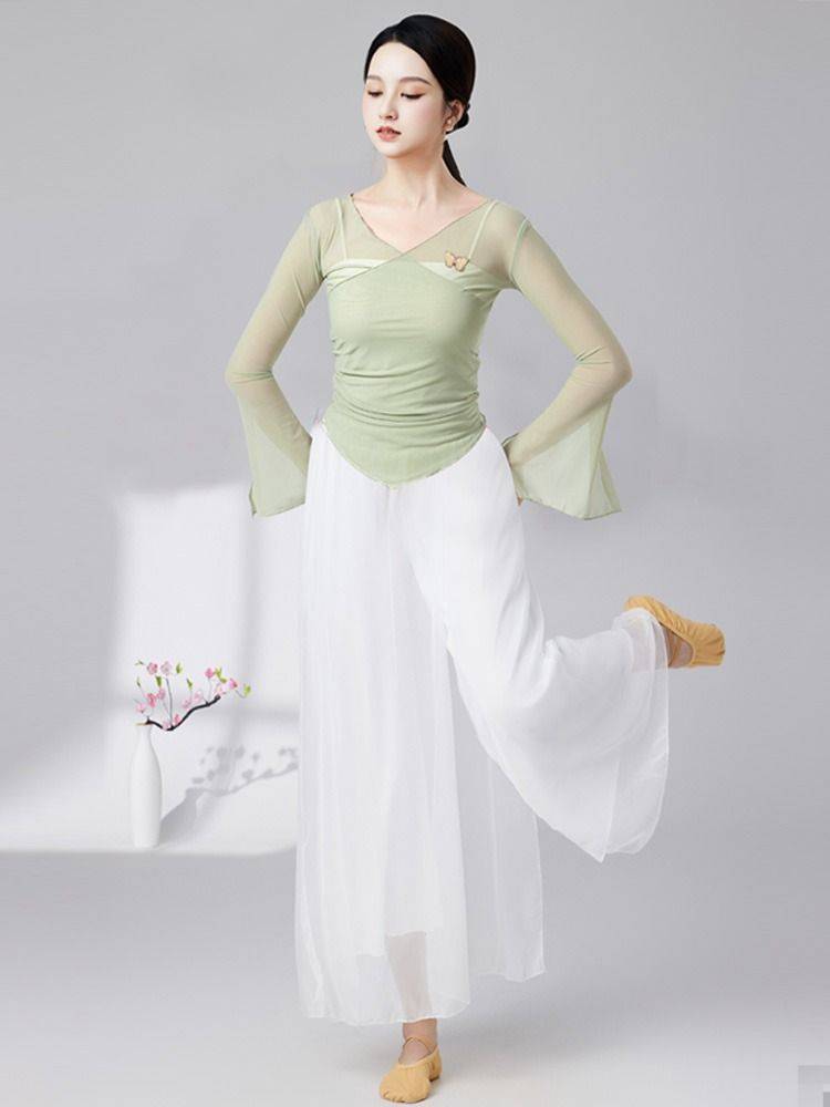 Classical Dance Body Rhyme Butterfly Dress Class Server Test Disciples Chinese Ethnic Dance Clothing Fun Sleeve Women