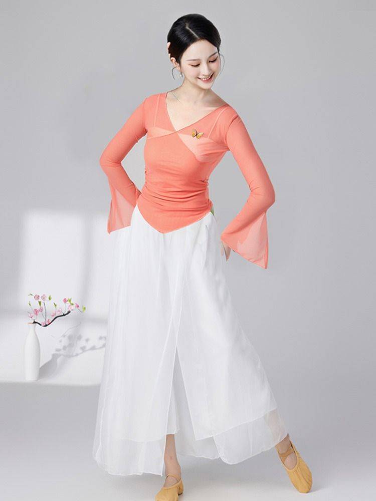 Classical Dance Body Rhyme Butterfly Dress Class Server Test Disciples Chinese Ethnic Dance Clothing Fun Sleeve Women