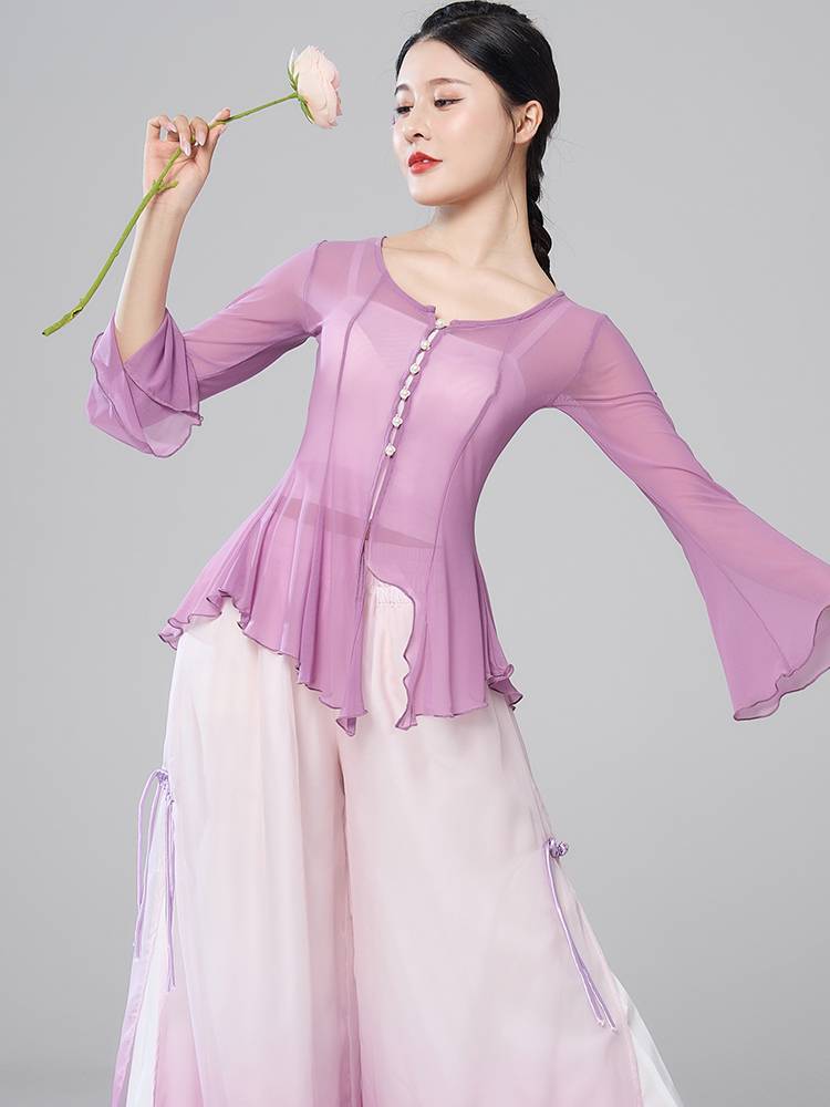 Classical dance exercise girl elegant body rhyme gauze short top Chinese style national dance net yarn 2024 new model