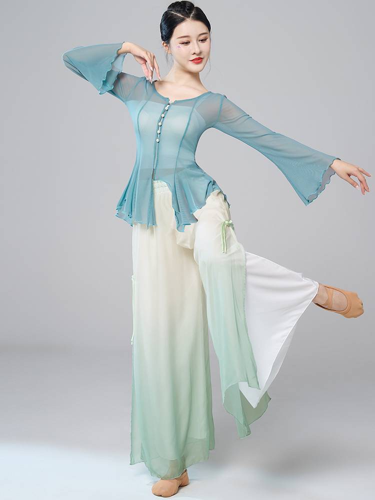 Classical dance exercise girl elegant body rhyme gauze short top Chinese style national dance net yarn 2024 new model