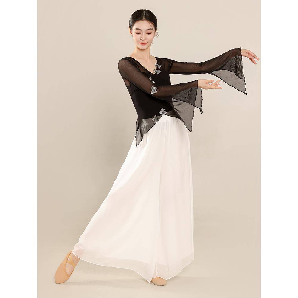 Classical dance clothing butterfly net gauze body rhyme yae Chinese national dance exercise skills test jacket performance suit suit