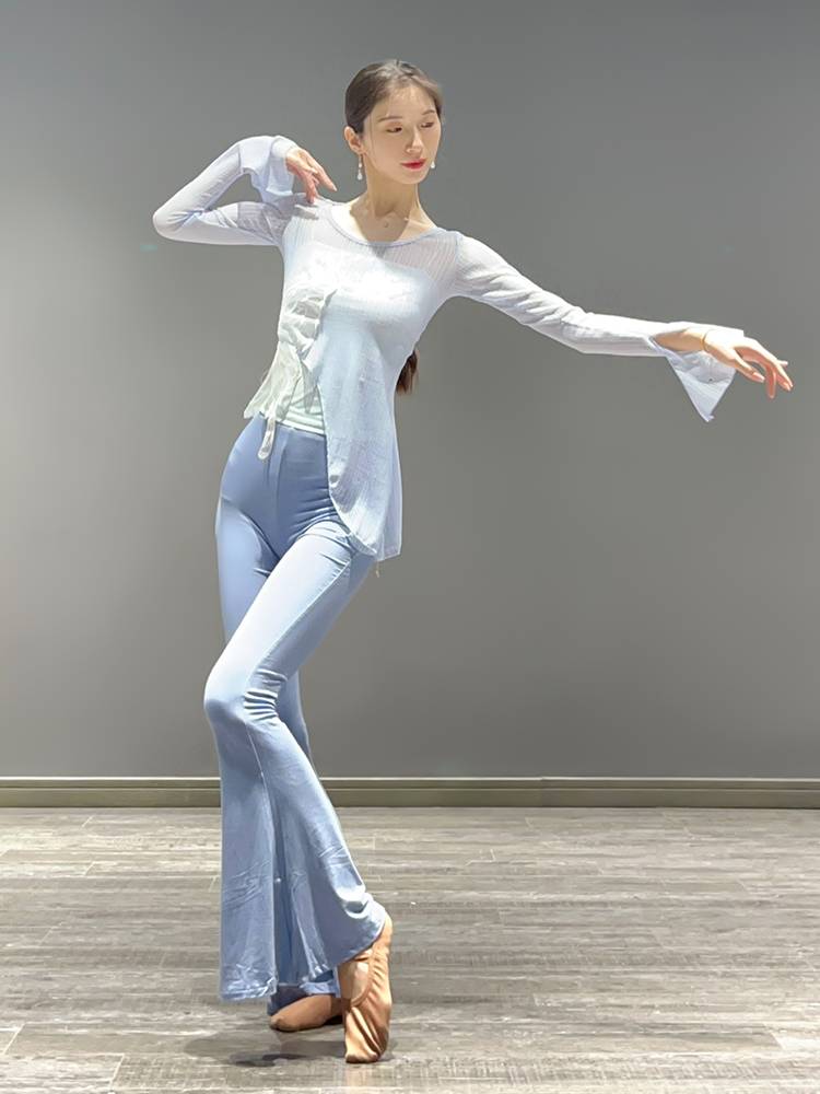 Classical dance service female rhyme butterfly gauze modern dance exercises Chinese national dance showing clothing top
