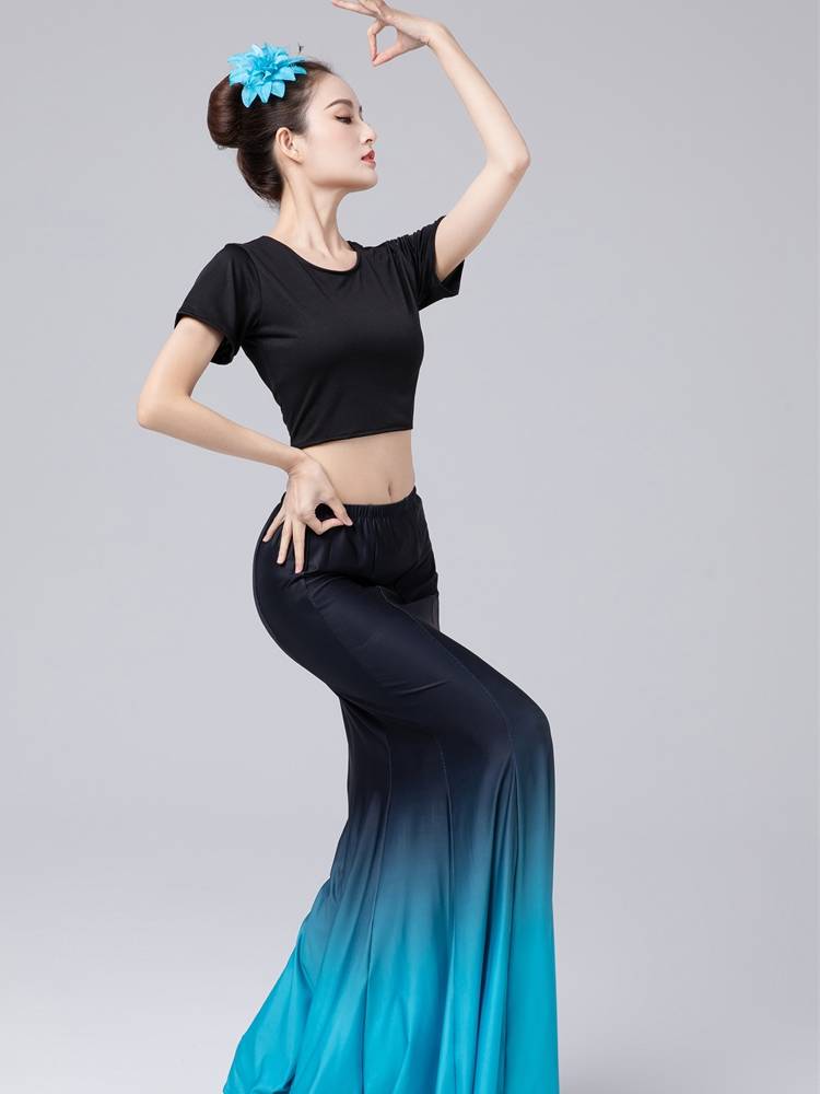 Yigao Dai dance clothing female peacock dance performance clothing adult practice skirt elastic slim dance dressing skirt