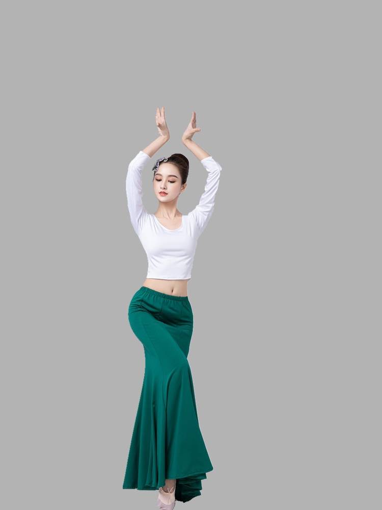 Yigao Dai dance clothing female peacock dance performance clothing adult practice skirt elastic slim dance dressing skirt