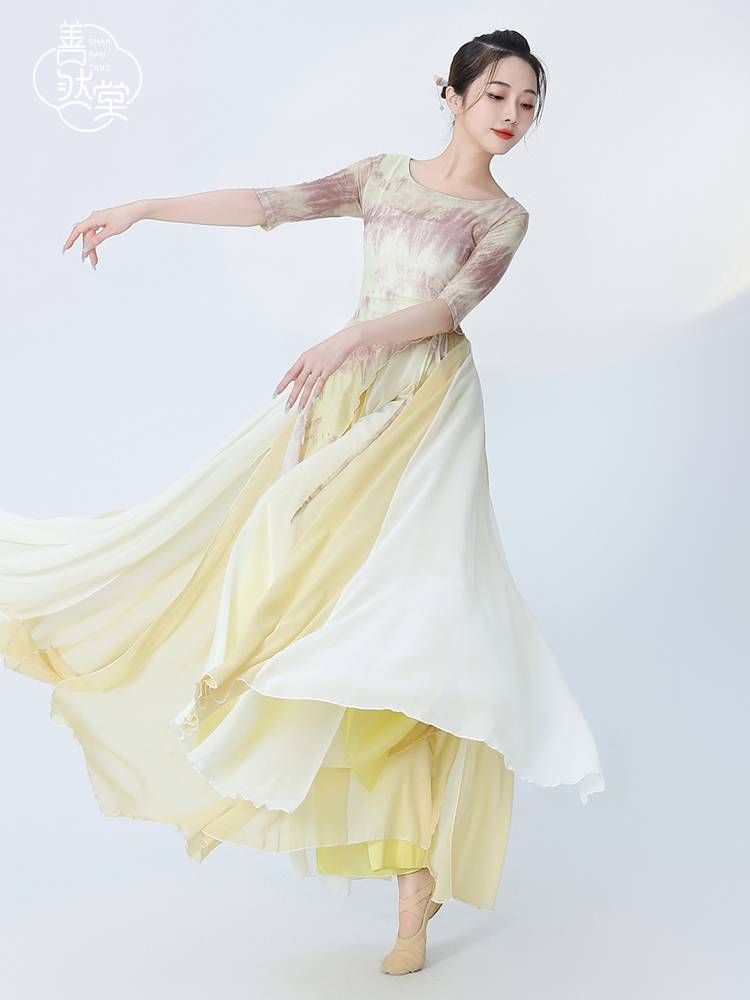 Shan Ran Hall Classical Dance Clothing Dance Female Female Permanent Adult Short -sleeved Top Dance Chinese Ink Classical Set