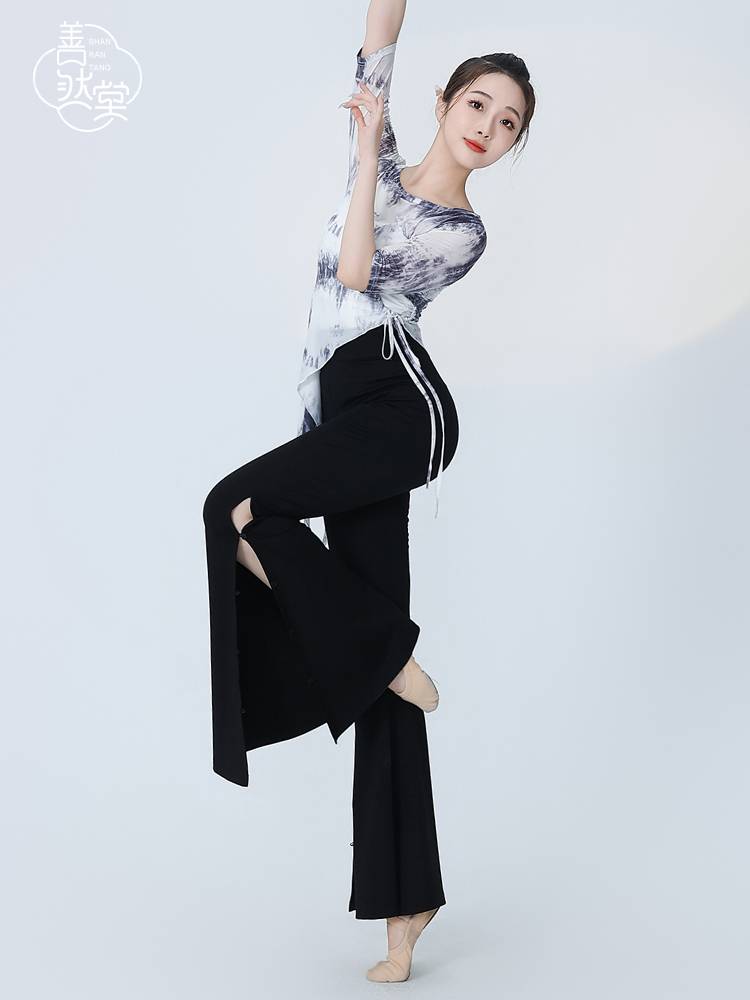 Shan Ran Hall Classical Dance Clothing Dance Female Female Permanent Adult Short -sleeved Top Dance Chinese Ink Classical Set