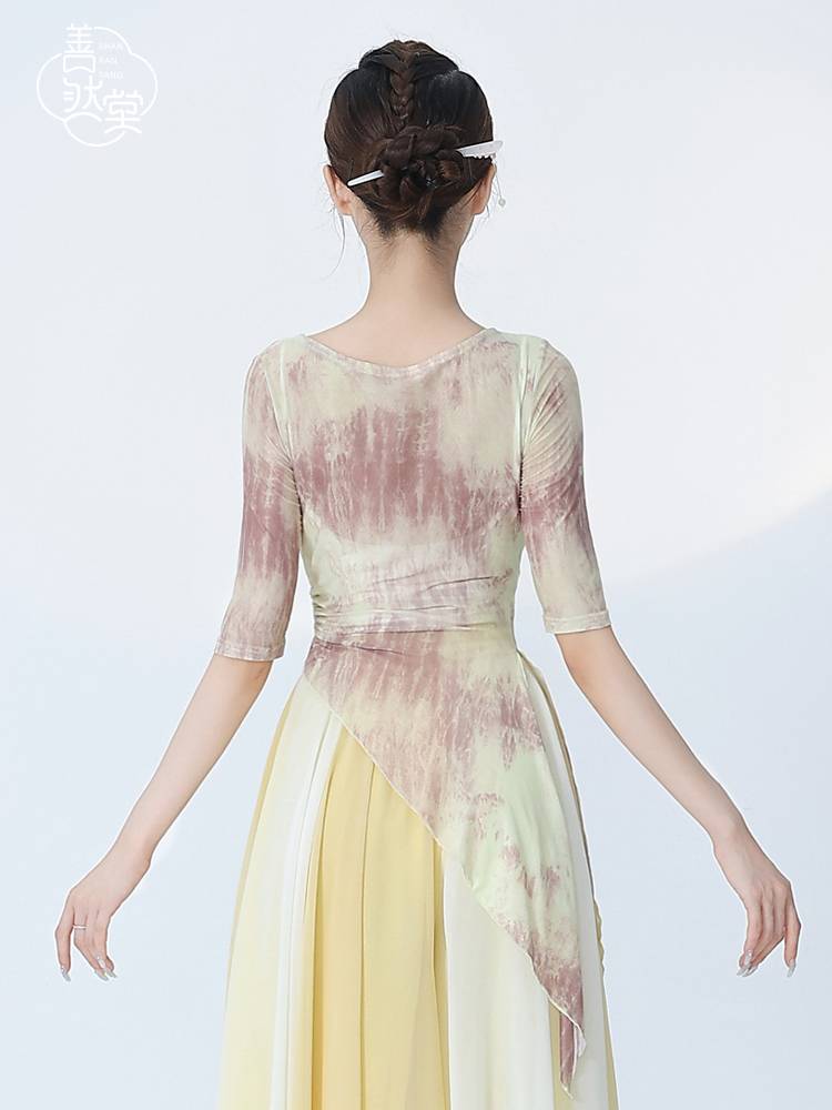 Shan Ran Hall Classical Dance Clothing Dance Female Female Permanent Adult Short -sleeved Top Dance Chinese Ink Classical Set