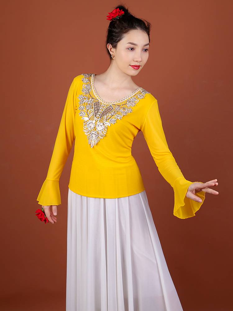Xinjiang Dance Performance Service New Summer Summer Nets Paste Flower Fluton Sleeve Bottom Blogen Battle Athletic Aeocked Top