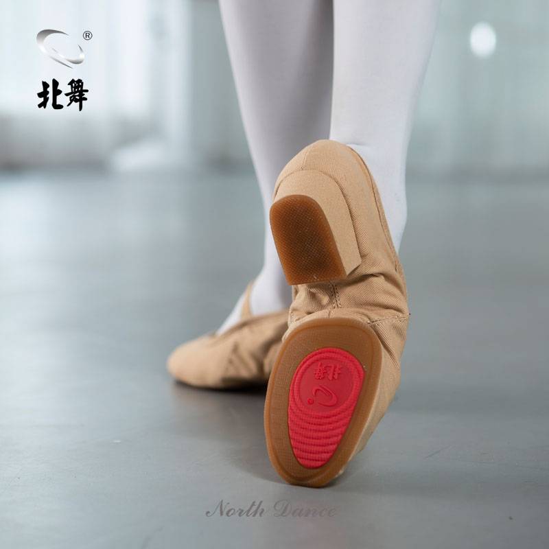 North Dance Canvas Outdoor Practice Shoes Dance Shoes Soft Sole Teacher Shoes Adult Ballet Shoes National Men and Women Square Dance