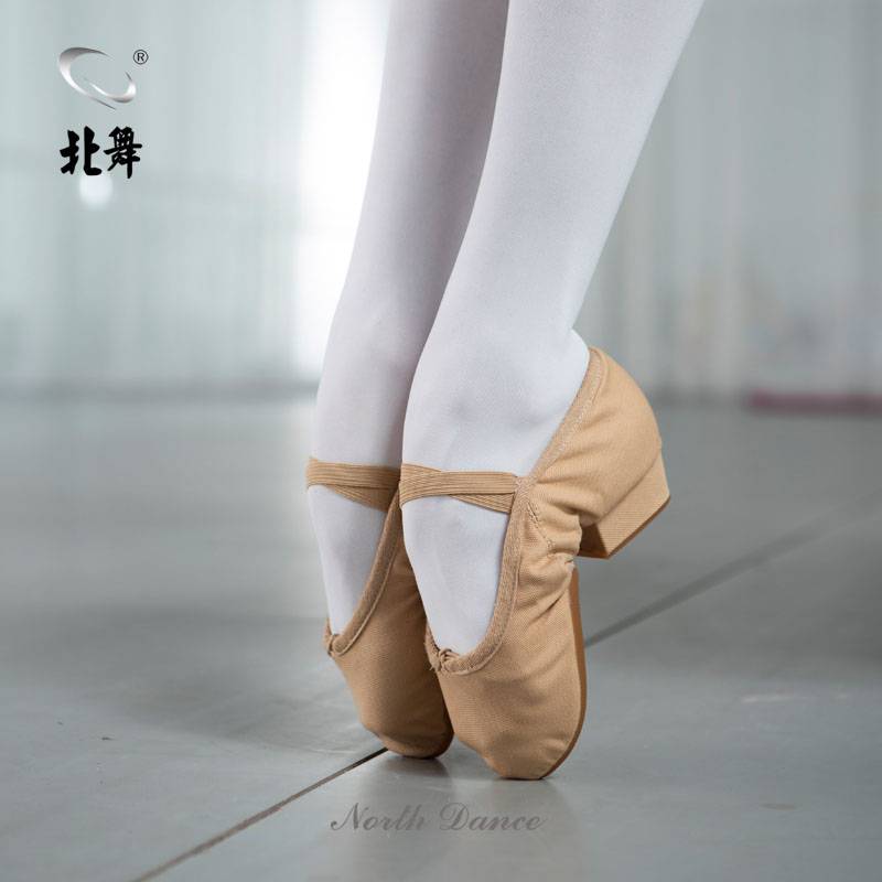 North Dance Canvas Outdoor Practice Shoes Dance Shoes Soft Sole Teacher Shoes Adult Ballet Shoes National Men and Women Square Dance