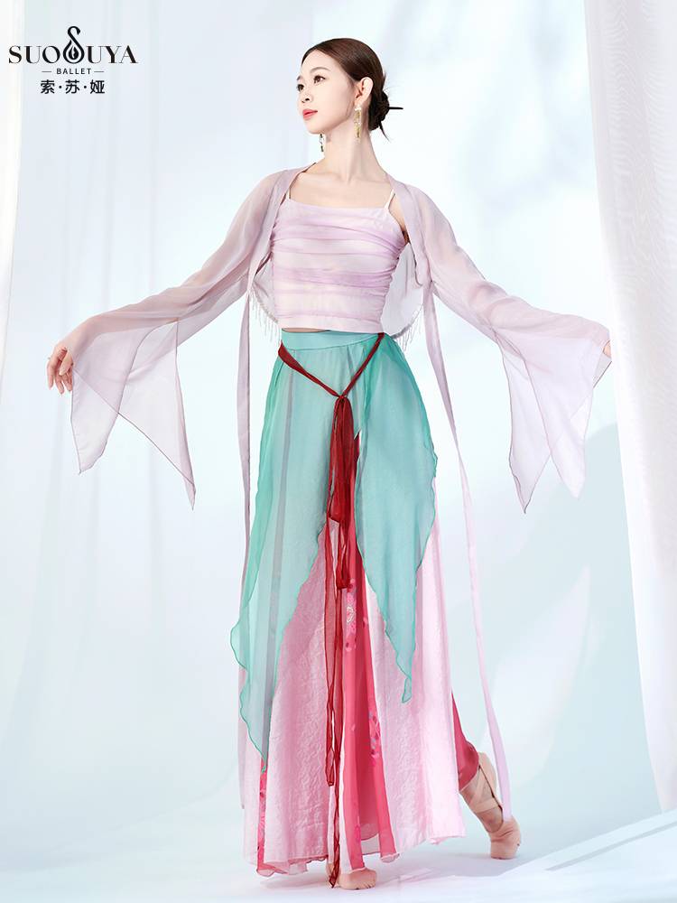Susua Classical Dance Dance Rhymes Yaosong Fairy Fairy and Several Chinese Dance Practice Services Hangtang Server Dance Function Services