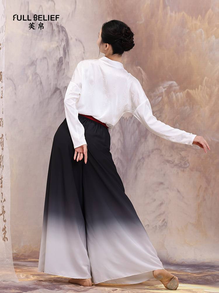 Fuxi Classical Dance Clothing Long Sleeve New Chinese White V -neck Performance Performance Service Chinese Style Dance Service