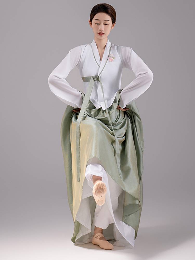 Yanbian Korean Dance Dance Performance Female Ethnic Stage Performance Clothing Student Practice Practice Skirt