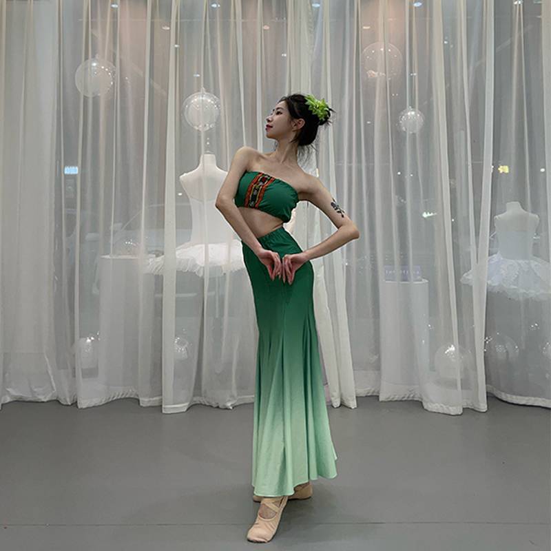 Dai dance performance service adult art test performance service performance service performance service national peacock dance fish tail skirt