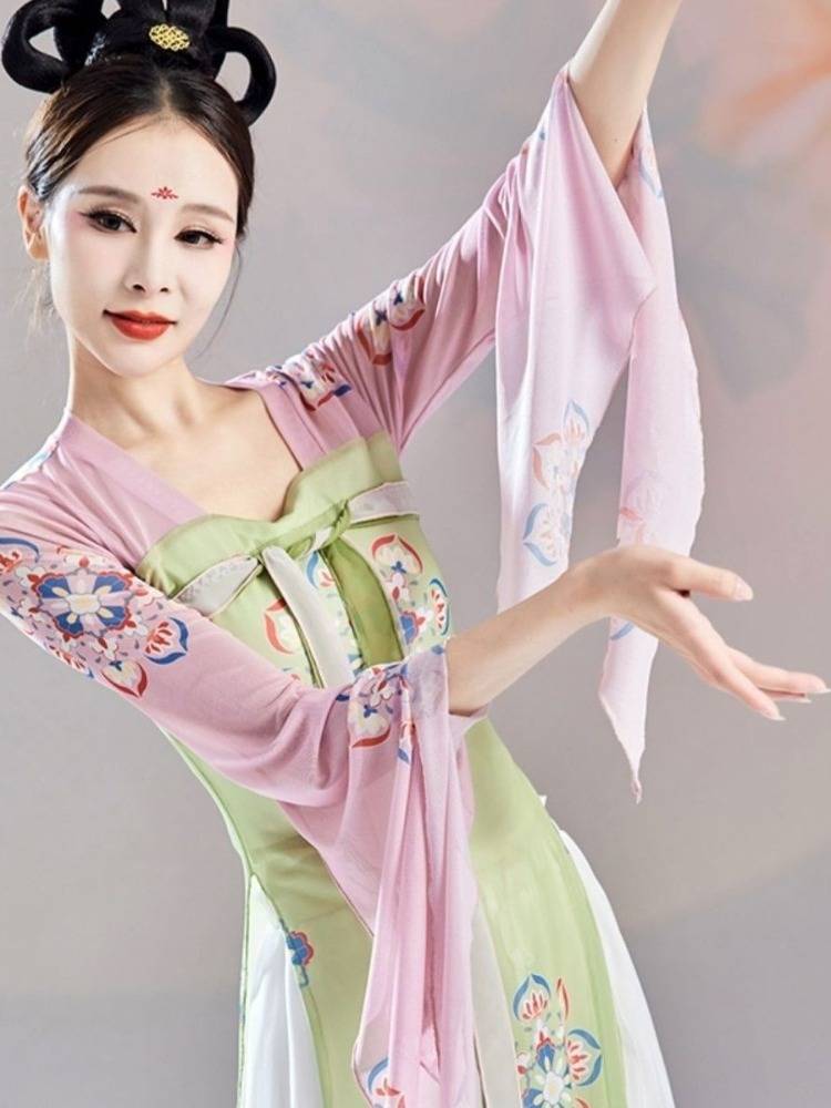 Hanfu Classical Dance Practice Female Loose Chinese Dance Modern National Dance Clothing Wide -leg Pants Performing Costumes