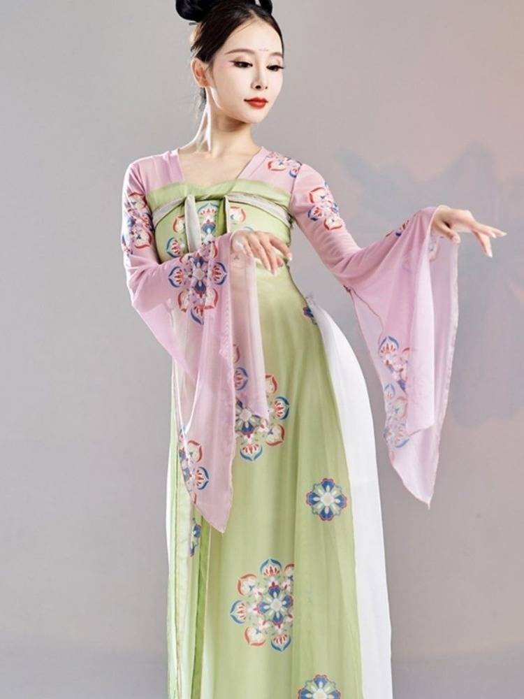Hanfu Classical Dance Practice Female Loose Chinese Dance Modern National Dance Clothing Wide -leg Pants Performing Costumes