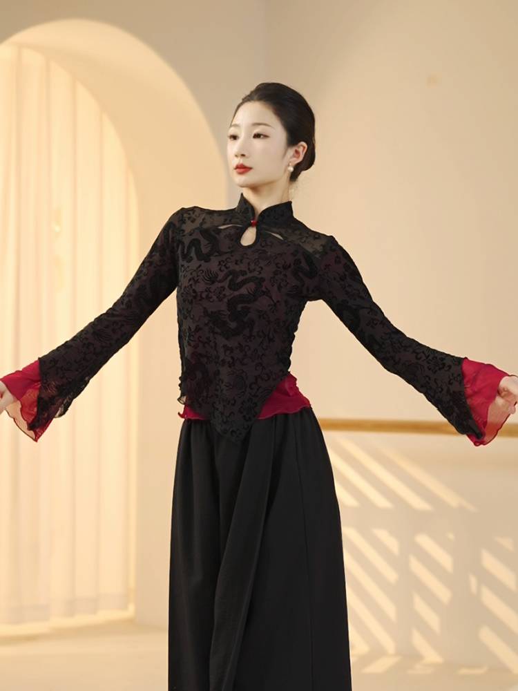 3350 Classical Dance Female Spring New Stone Practical Practice Trumpet Sleeve Stroke Standing Chinese Adult Dancing top