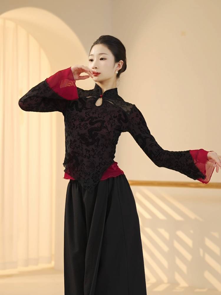 3350 Classical Dance Female Spring New Stone Practical Practice Trumpet Sleeve Stroke Standing Chinese Adult Dancing top
